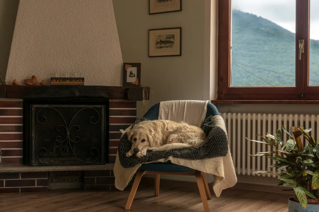 Warm home interior atmosphere